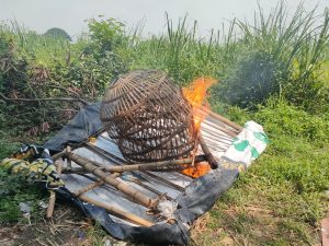 Resahkan Warga, Polsek Prambon Bakar Arena Sabung Ayam
